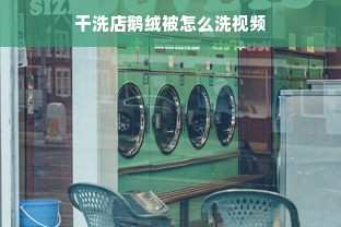 干洗店鹅绒被怎么洗视频