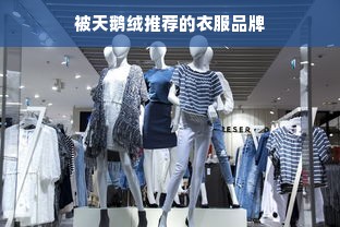 被天鹅绒推荐的衣服品牌