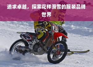 追求卓越，探索花样滑雪的服装品牌世界