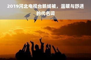 2019河北电视台鹅绒被，温暖与舒适的代名词