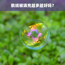 鹅绒被填充越多越好吗？