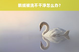 鹅绒被洗不干净怎么办？