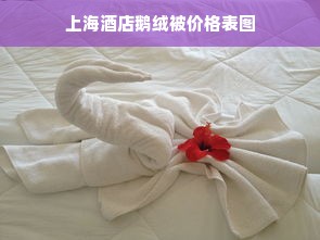 上海酒店鹅绒被价格表图