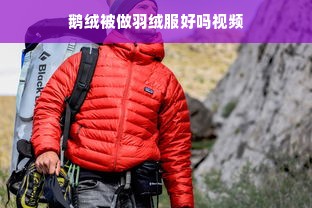 鹅绒被做羽绒服好吗视频