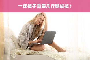 一床被子需要几斤鹅绒被？