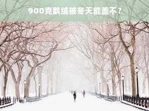 900克鹅绒被冬天能盖不？