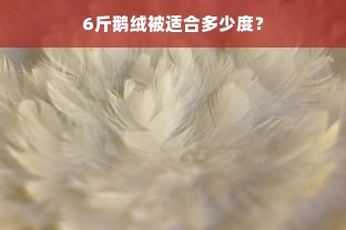 6斤鹅绒被适合多少度？