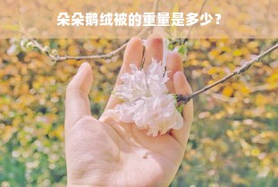 朵朵鹅绒被的重量是多少？