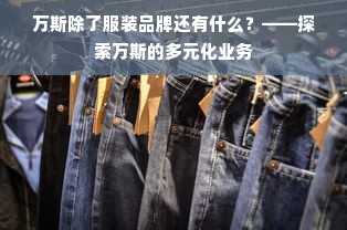 万斯除了服装品牌还有什么？——探索万斯的多元化业务