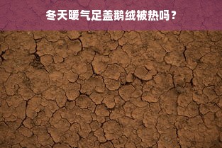 冬天暖气足盖鹅绒被热吗？