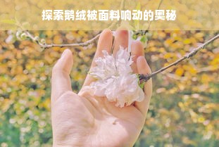 探索鹅绒被面料响动的奥秘