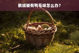 鹅绒被有鸭毛味怎么办？