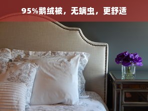 95%鹅绒被，无螨虫，更舒适