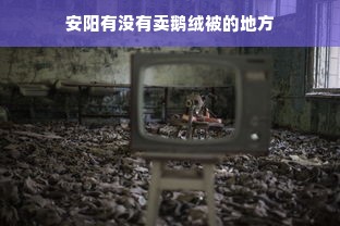 安阳有没有卖鹅绒被的地方