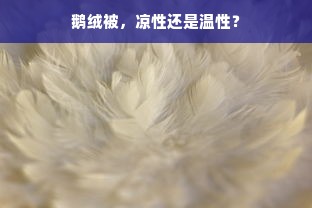 鹅绒被，凉性还是温性？