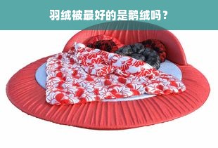 羽绒被最好的是鹅绒吗？