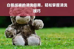 白鹅绒被的清洗指南，轻松掌握清洗技巧