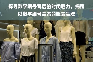 探寻数字编号背后的时尚魅力，揭秘以数字编号命名的服装品牌