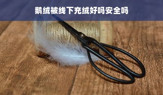 鹅绒被线下充绒好吗安全吗