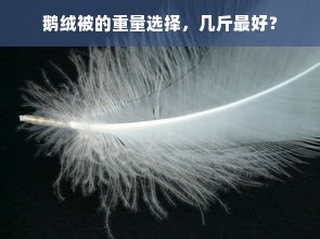 鹅绒被的重量选择，几斤最好？