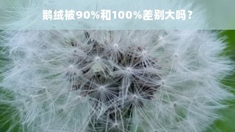 鹅绒被90%和100%差别大吗？