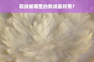 羽绒被哪里的鹅绒最好用？