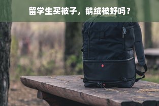 留学生买被子，鹅绒被好吗？