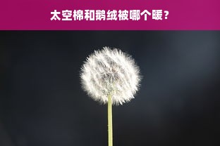 太空棉和鹅绒被哪个暖？