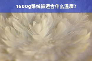 1600g鹅绒被适合什么温度？