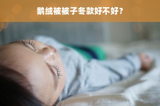 鹅绒被被子冬款好不好？