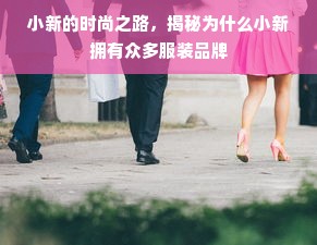 小新的时尚之路，揭秘为什么小新拥有众多服装品牌