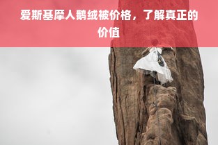 爱斯基摩人鹅绒被价格，了解真正的价值