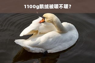 1100g鹅绒被暖不暖？