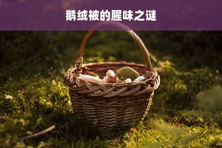 鹅绒被的腥味之谜