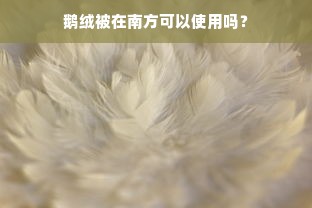 鹅绒被在南方可以使用吗？