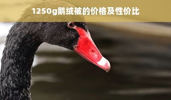 1250g鹅绒被的价格及性价比