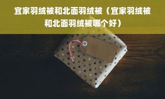 宜家羽绒被和北面羽绒被（宜家羽绒被和北面羽绒被哪个好）