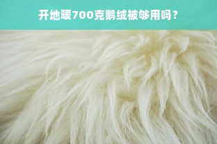 开地暖700克鹅绒被够用吗？