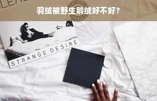 羽绒被野生鹅绒好不好？