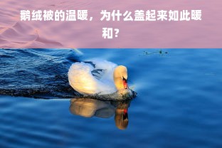 鹅绒被的温暖，为什么盖起来如此暖和？