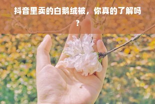 抖音里卖的白鹅绒被，你真的了解吗？