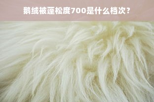 鹅绒被蓬松度700是什么档次？