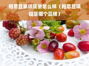 相思豆家纺质量怎么样（相思豆项链是哪个品牌）