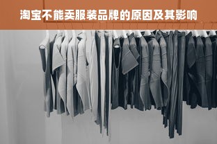 淘宝不能卖服装品牌的原因及其影响