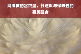 鹅绒被的含绒量，舒适度与保暖性的完美融合