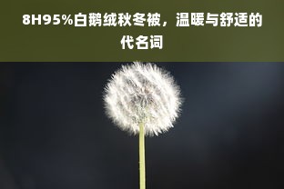 8H95%白鹅绒秋冬被，温暖与舒适的代名词