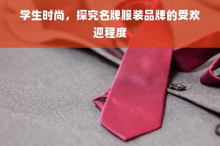 学生时尚，探究名牌服装品牌的受欢迎程度