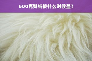 600克鹅绒被什么时候盖？