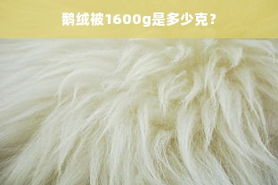 鹅绒被1600g是多少克？