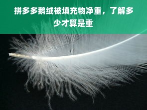 拼多多鹅绒被填充物净重，了解多少才算是重